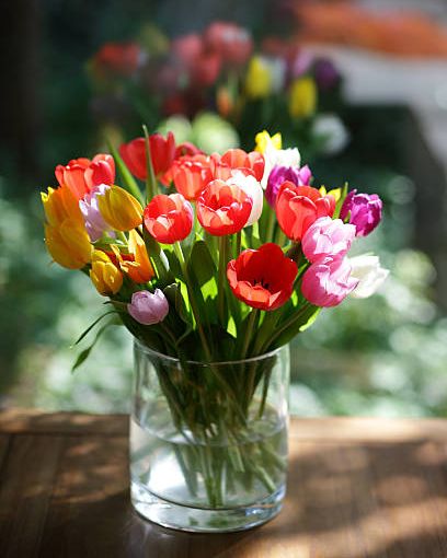 mixed bouquet of fresh tulips on wooden table with reflection in window