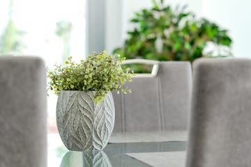 planta artificial