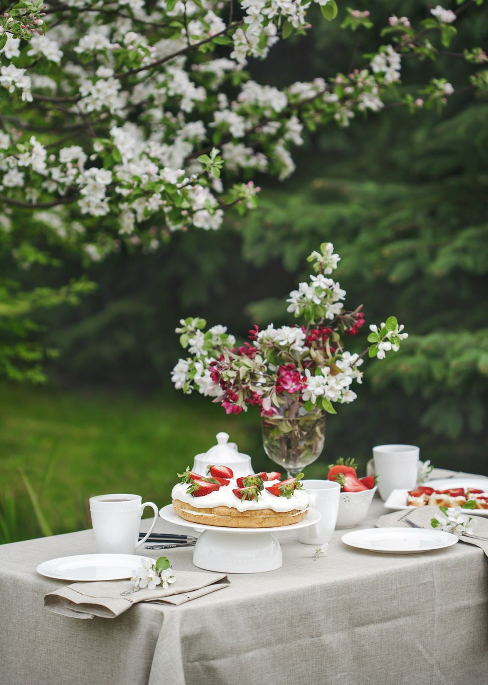 afternoon tea, cakes and bruschetta with ricotta and strawberry in the garden