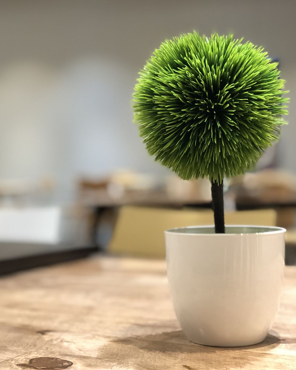 10 plantas artificiales realistas que parecen naturales