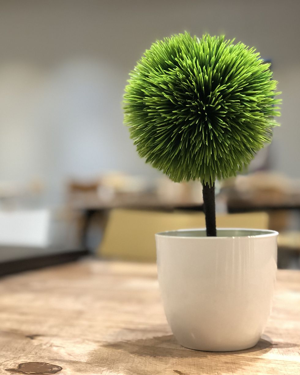 15 Ideas para decorar tu casa con plantas artificiales