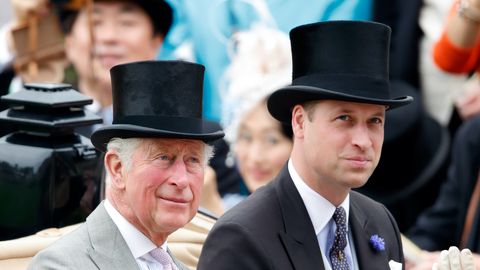 preview for 7 Times Prince William Proved to Be the Best Dad