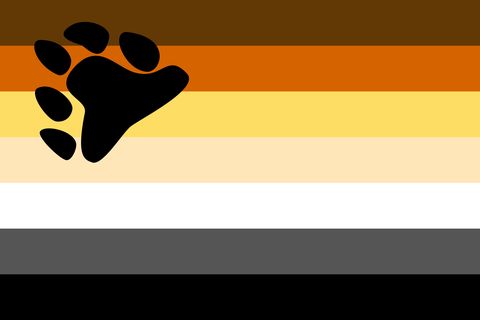 bear brotherhood pride flag vector illustration