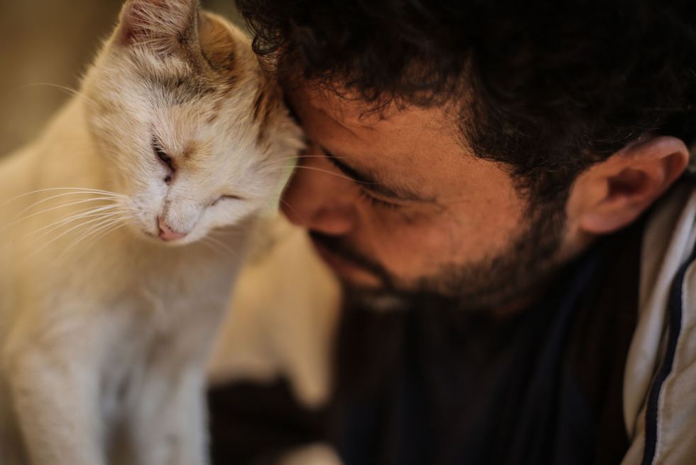 03 august 2019, syria, aleppo mohammed alaa al jaleel, also known as the cat man of aleppo pets a cat at the ernestos cat sanctuary that he runs in kafr naya during the syrian war in 2012, al jaleel was working as an ambulance driver in aleppo, he used to drop off food for stray and abandoned cats on his way home after work in 2015, he started to search for living cats in the war devastated areas and take them home, later in the year his compassionate work with cats gone viral and with the help of an italian cat lover called alessandra abidin, he started to raise funds and receive donations that helped him to secure a land to serve as a sanctuary and veterinary clinic for abandoned cats, it was named the house of cats ernesto after a loved pet cat of alessandra who had died of cancer as well as over 200 cats, now the sanctuary has dogs, monkeys, rabbits, and other animals and expanded to include a kindergarten and an orphanage photo anas alkharboutlidpa photo by anas alkharboutlipicture alliance via getty images