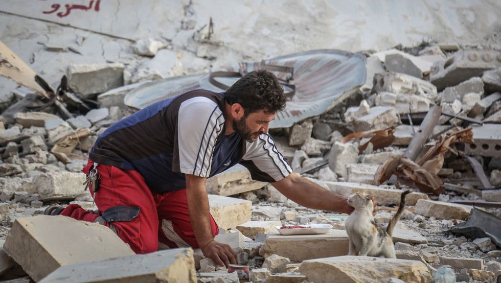 03 august 2019, syria, idlib mohammed alaa al jaleel, also known as the cat man of aleppo helps away a cat from a the rubble of a bombed out area in khan shaykhun, where he is searching for living cats to transport them to his ernestos cat sanctuary during the syrian war in 2012, al jaleel was working as an ambulance driver in aleppo, he used to drop off food for stray and abandoned cats on his way home after work in 2015, he started to search for living cats in the war devastated areas and take them home, later in the year his compassionate work with cats gone viral and with the help of an italian cat lover called alessandra abidin, he started to raise funds and receive donations that helped him to secure a land to serve as a sanctuary and veterinary clinic for abandoned cats, it was named the house of cats ernesto after a loved pet cat of alessandra who had died of cancer as well as over 200 cats, now the sanctuary has dogs, monkeys, rabbits, and other animals and expanded to include a kindergarten and an orphanage photo anas alkharboutlidpa photo by anas alkharboutlipicture alliance via getty images