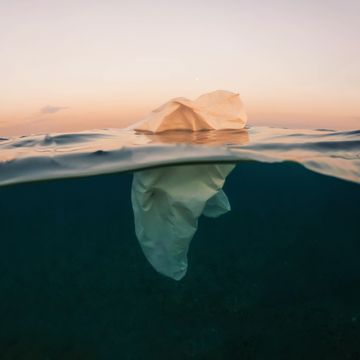 plastic is a global problem and the seas are contaminated with plastic of one use