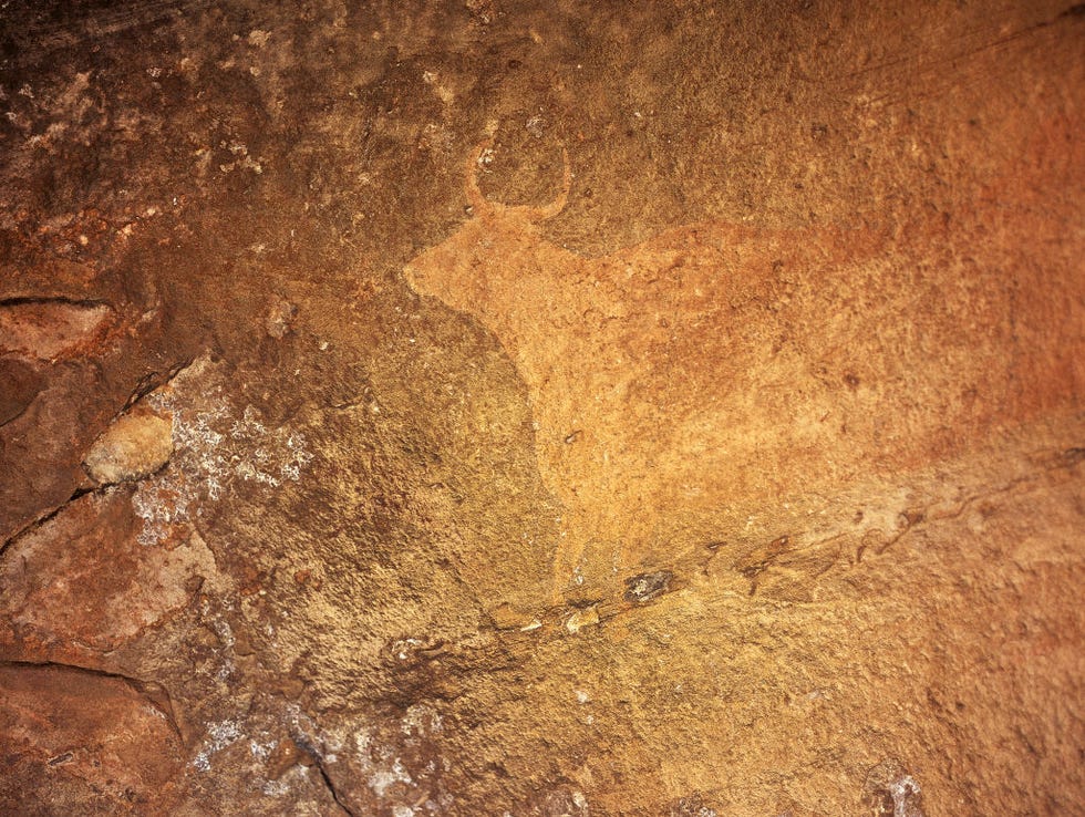 pinturas rupestres del navazo