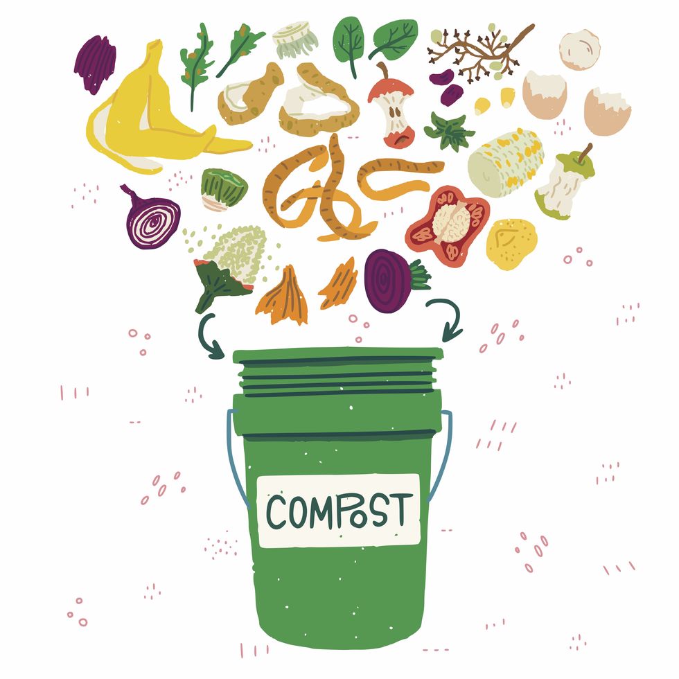 illustration of a compost bin with food scrapes