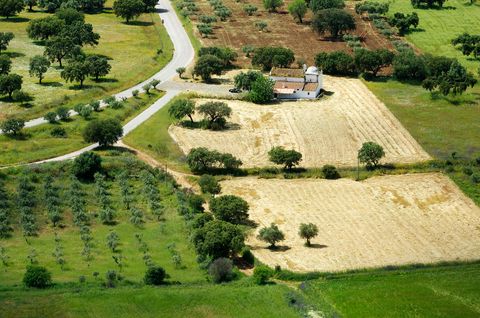 Aerial photography, Land lot, Natural landscape, Field, Rural area, Landscape, Bird's-eye view, Grass, Tree, Farm, 