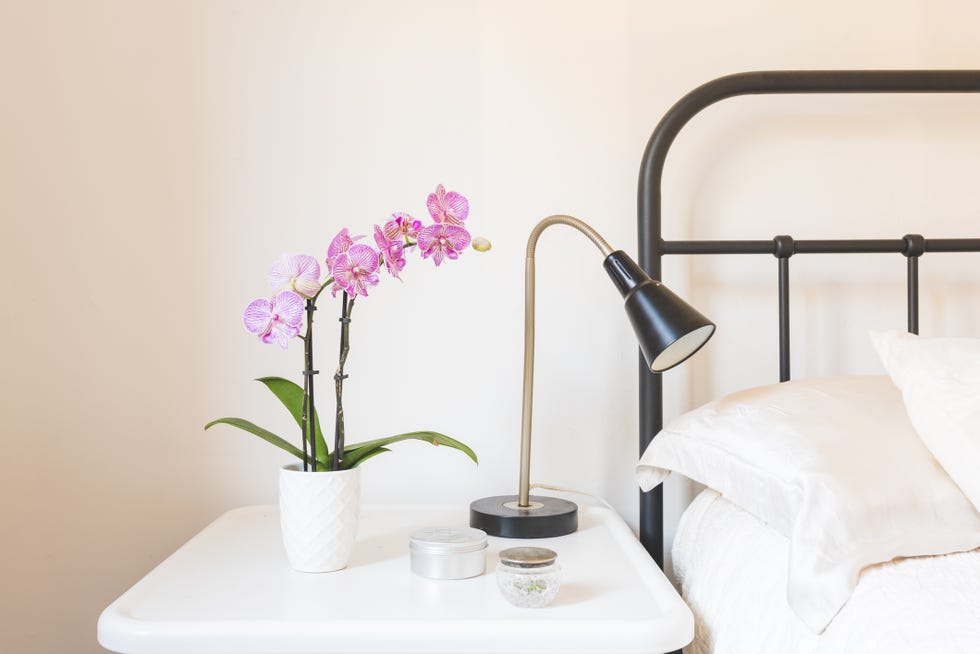 close up of purple orchid in white pot on side table next to black metal frame bed