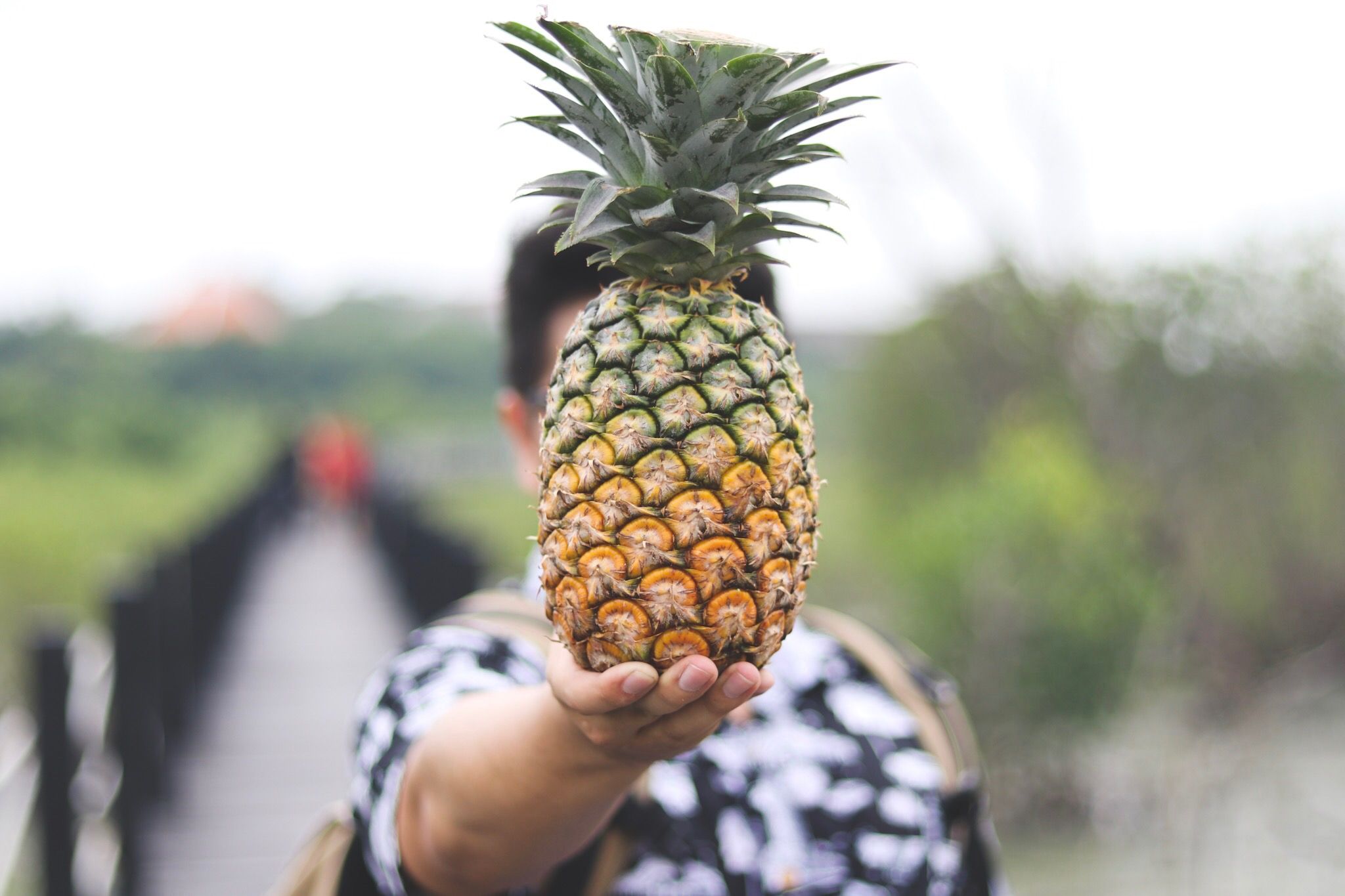 Is pineapple good outlet for weight loss