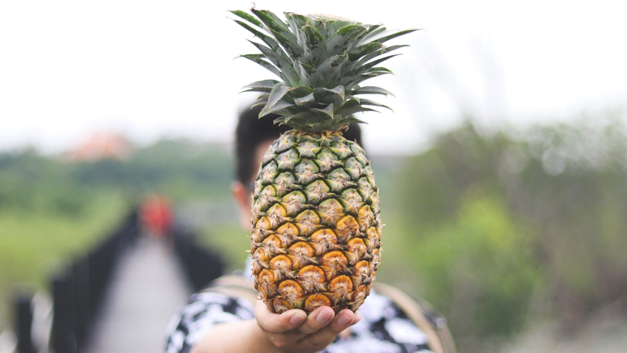 Pineapple Benefits: Health, Nutrition, and More