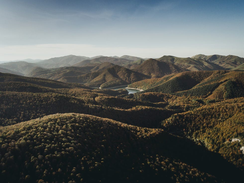 selva de irati
