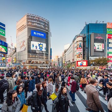 people crossing the crowded famous shibuya crossing in downtown tokyo, illuminated shibuya buildings with billboards in the background twilight light, close to sunset shibuya crossing, shibuya ward, tokyo, japan, asia