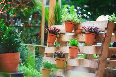 diy recycled wooden pallet for flower pots storage industrial pallet used in gardening for a wall decoration as a shelf for flowerpots garden with planters made of recycled wooden pallets
