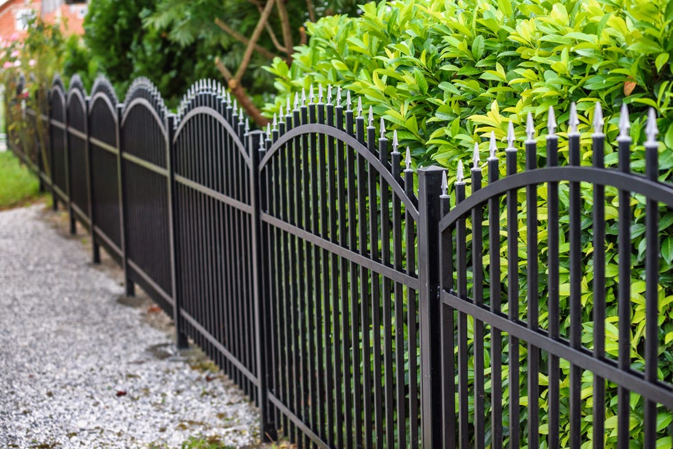 cheap fence ideas