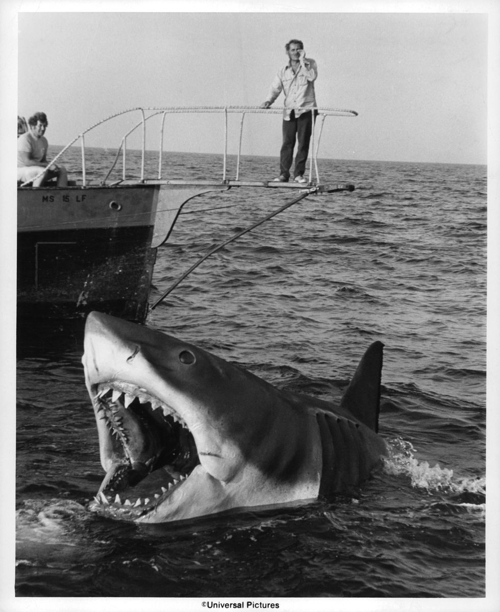 robert shaw stands over jaws in a scene from the film jaws, 1975 photo by universal picturesgetty images