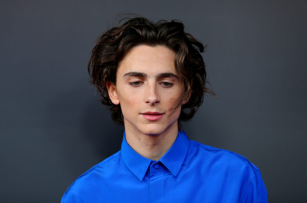 How To Get Timothée Chalamet's Men's Natural Hairstyle