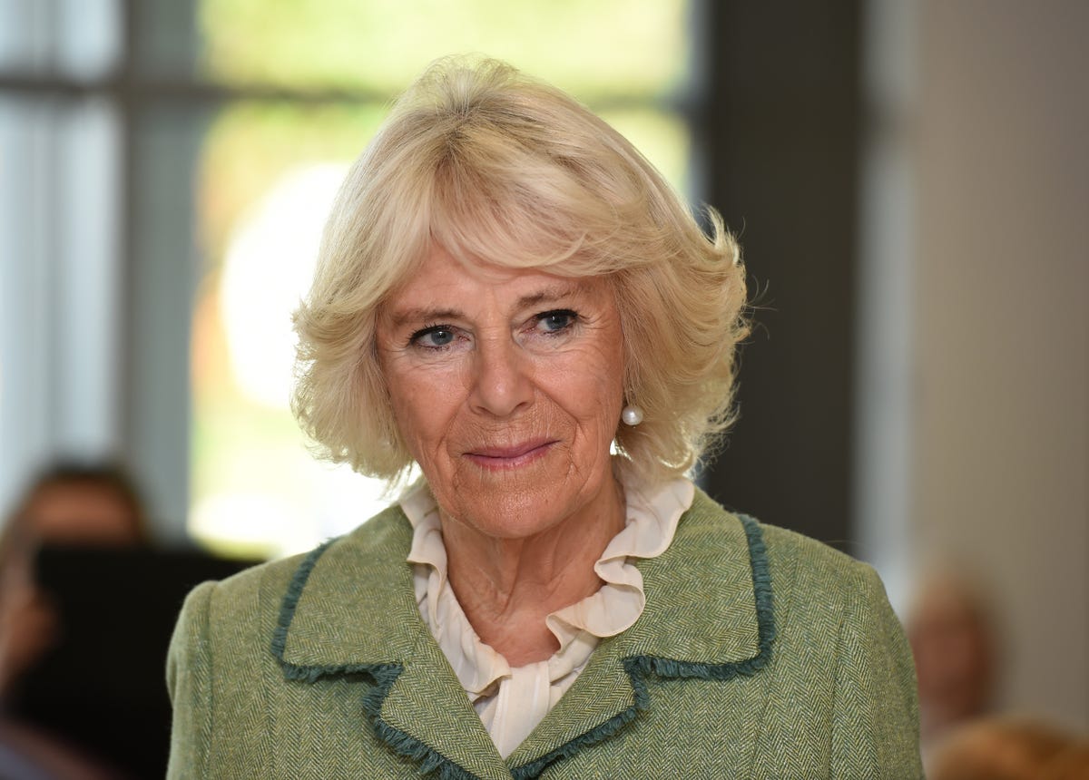 bath, england october 22 camilla, duchess of cornwall opens royal national hospital for rheumatic diseases rnhrd and brownsword therapies centre on october 22, 2019 in bath, england photo by finnbarr webster wpa pool getty images