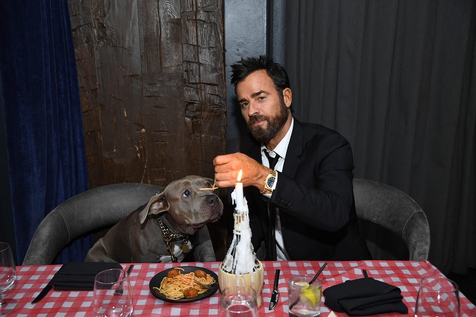 Cinema Society Hosts Special Screening Of Disney+'s "Lady And The Tramp" - After Party