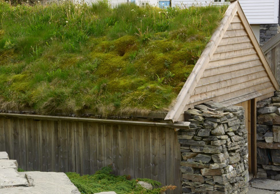 whataregreenroofsandwhatdotheydo
