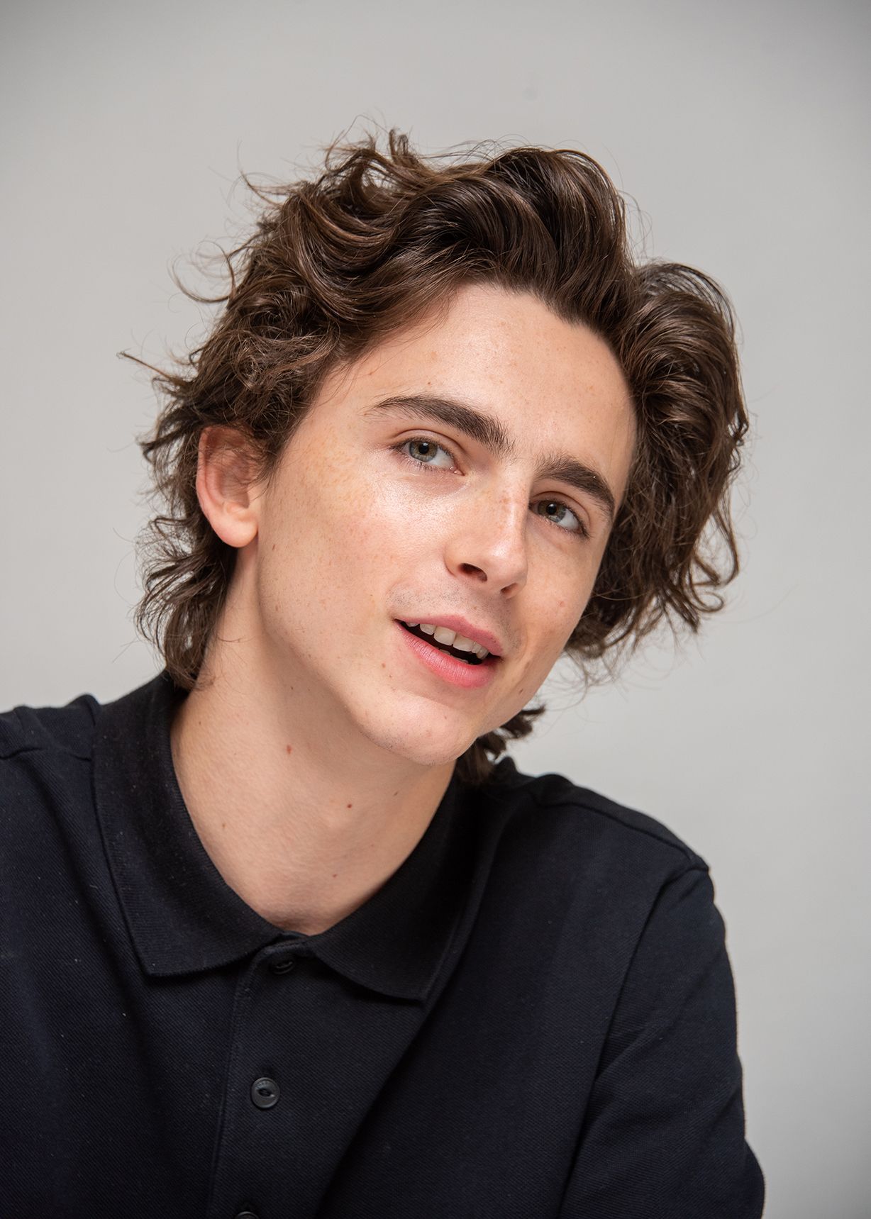 Timothee Chalamet Haircut Tutorial - TheSalonGuy 
