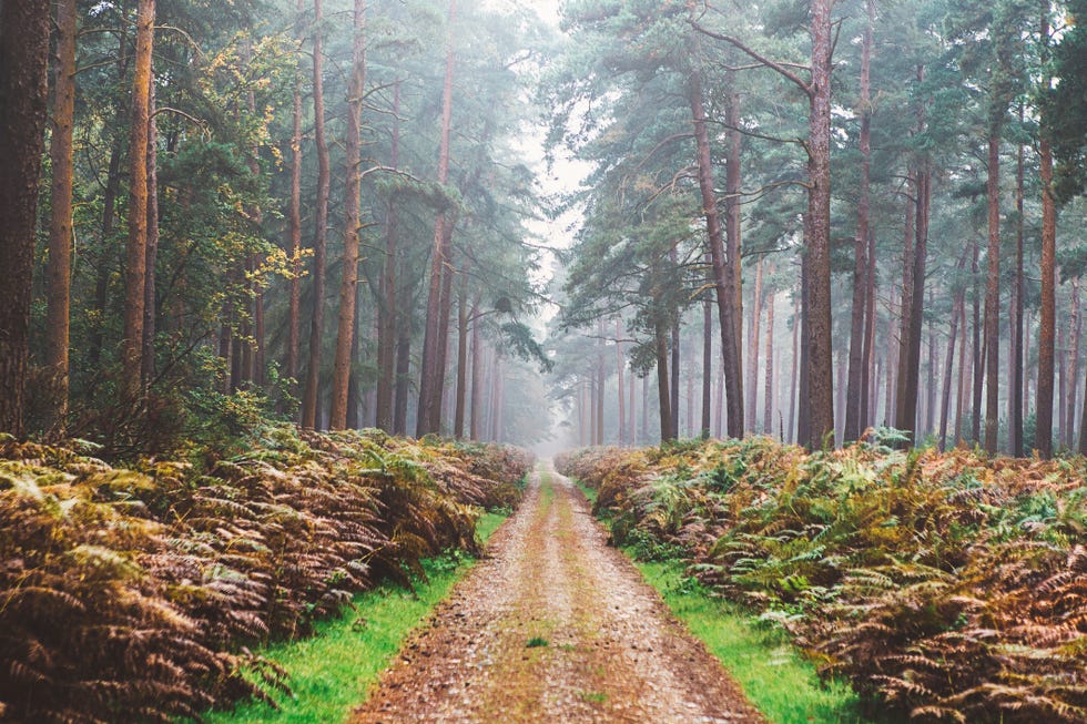 best nature quotes