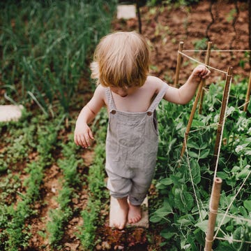 an unrecognizable little boy in the garden