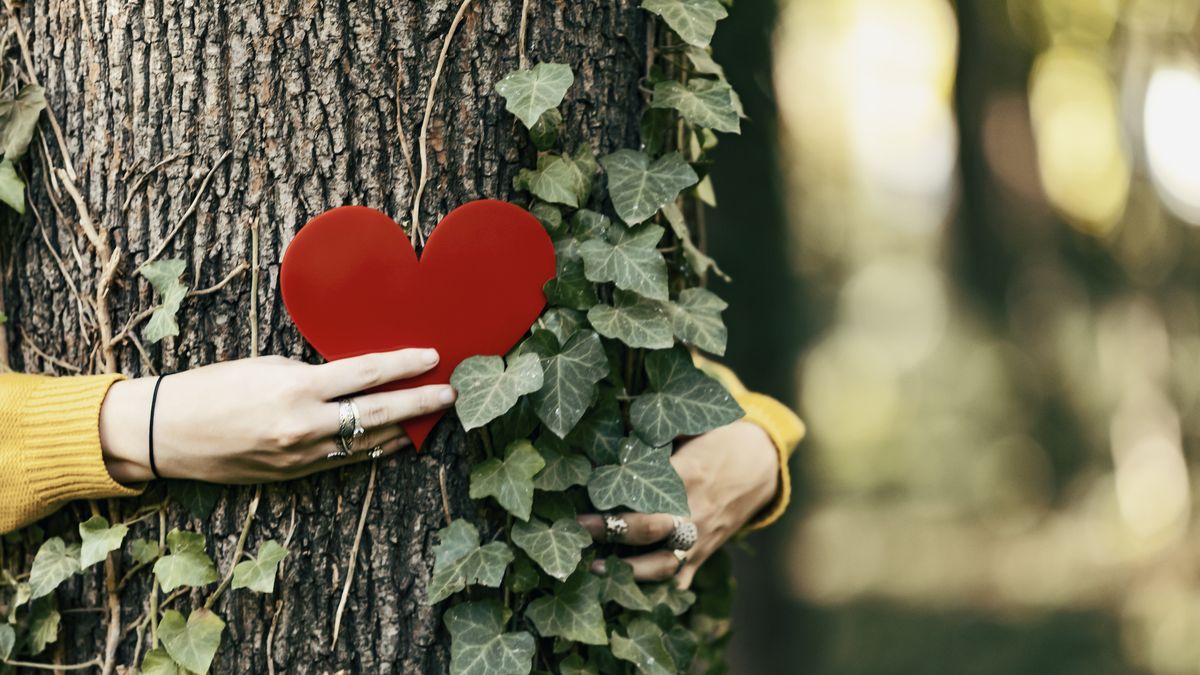 Love your planet, love your community - Make this Valentine's Day a  meaningful one! - Sustainability