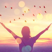freedom feel good and travel adventure concept copy space of silhouette woman rising hands on sunset sky at top of mountain and bird fly abstract background vintage tone filter effect color style