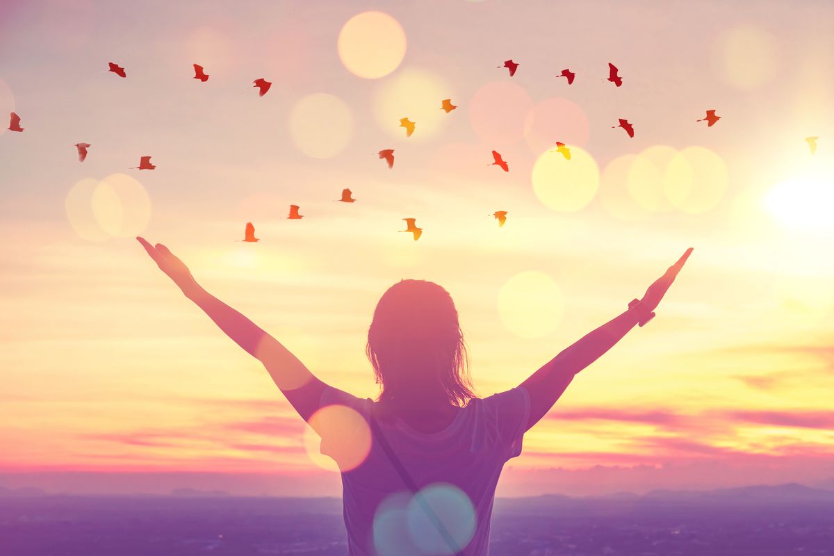 freedom feel good and travel adventure concept copy space of silhouette woman rising hands on sunset sky at top of mountain and bird fly abstract background vintage tone filter effect color style