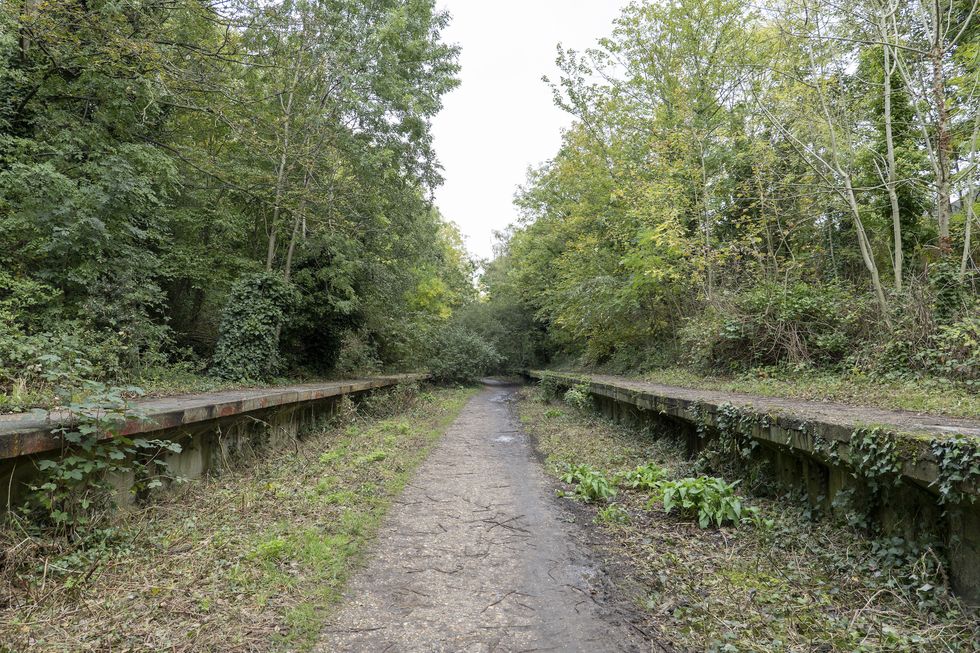 parkland walk on the 15th october 2019 in london in the united kingdom parkland walk follows the course of the old railway that ran between finsbury park and alexandra palace photo by sam mellish  in pictures via getty images