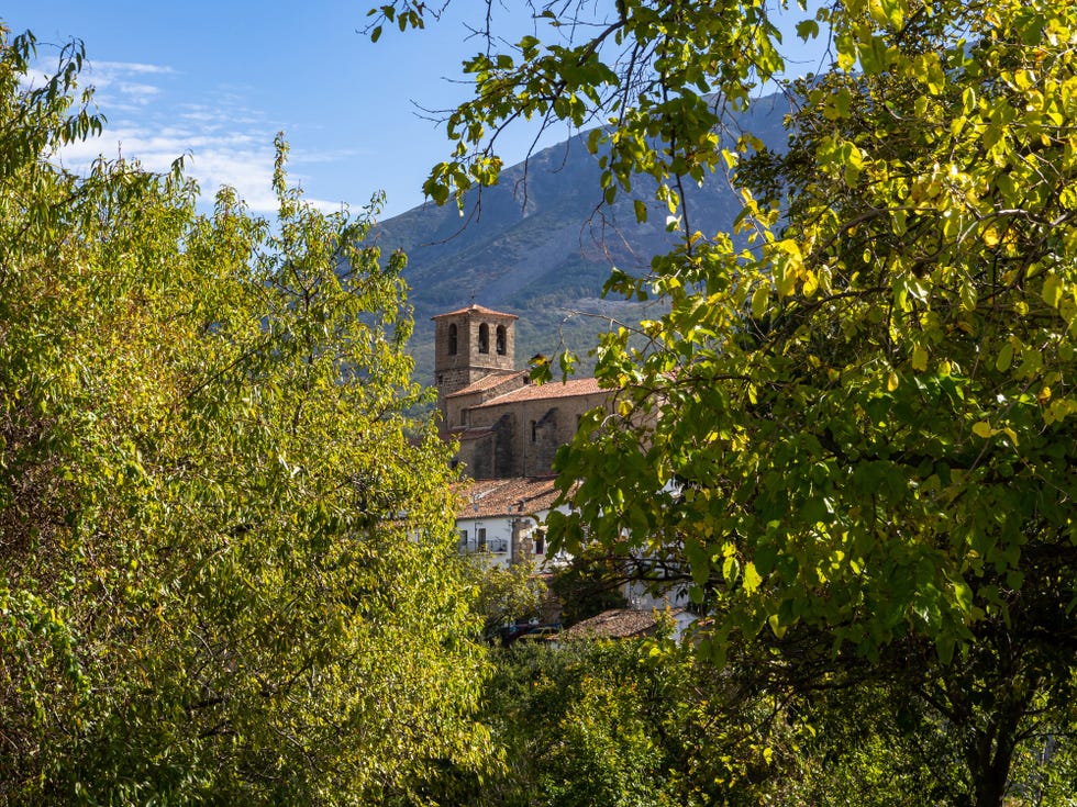 castañar gallego de hervás