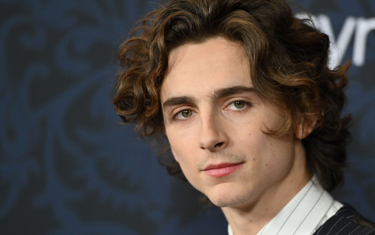 Timothée Chalamet’s New Facial Hair And Goatee