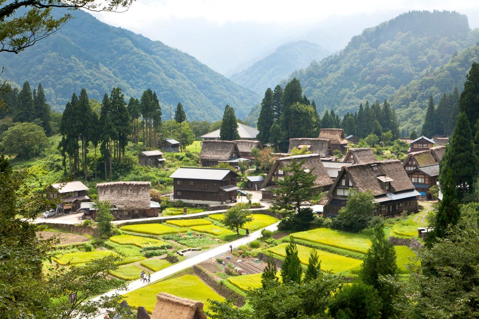 historical japanese rural village and rice fields surrounded by mountains, gokayama unesco world cultural heritage site, toyama, japan