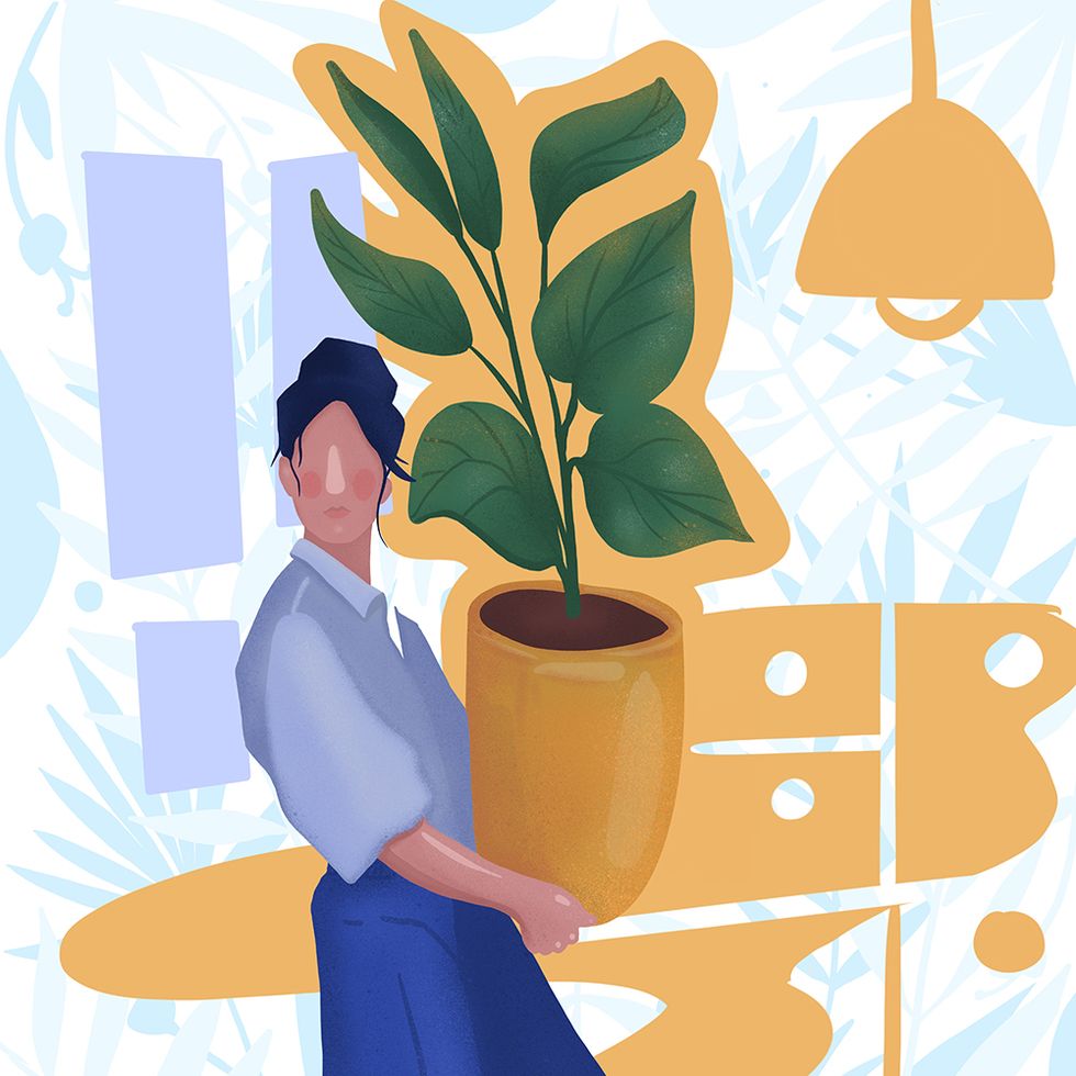 home decoration woman placing her plants colorful illustration