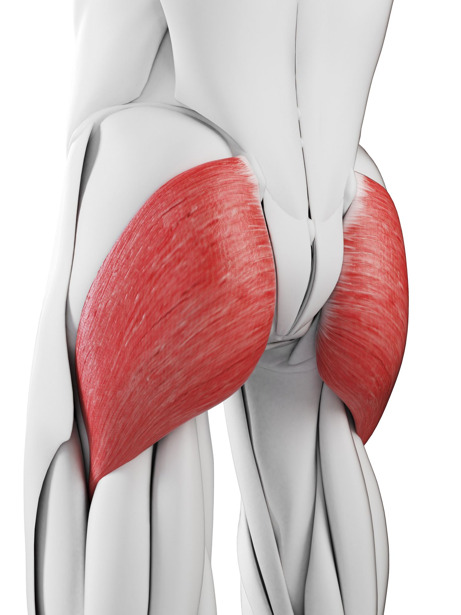 Hip discount glute muscles