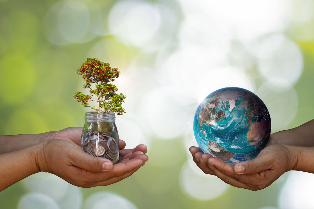 one pair of hands holding a tree, the other holding the earth
