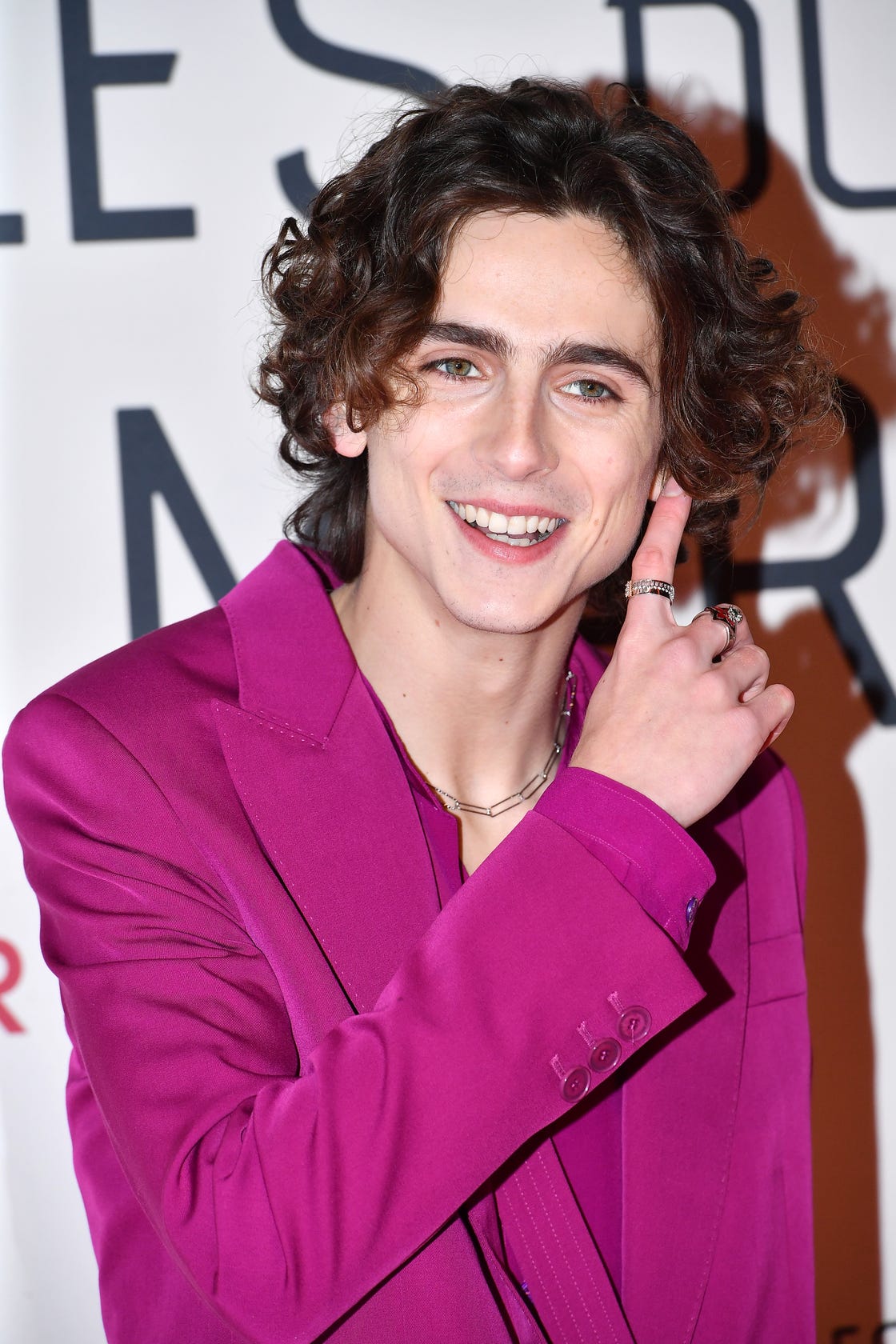 Timothée Chalamet Wore a Pink Suit to the Little Women Premiere