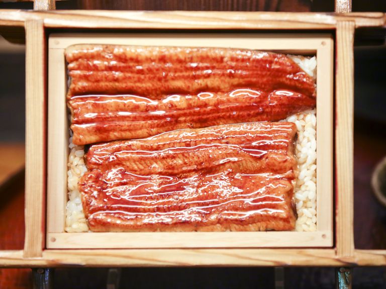 Unajuu food model, grilled freshwater eel with rice