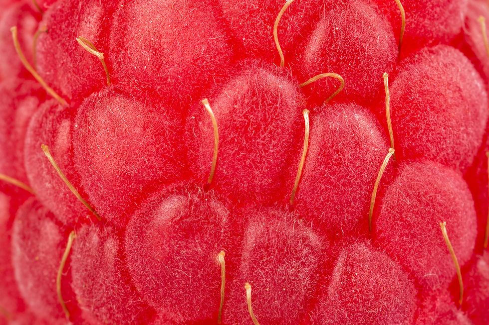 extreme closeup of ripe raspberry