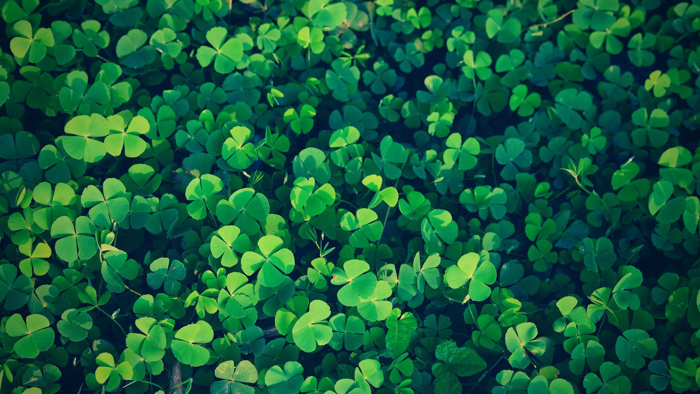 St day blessing patricks for irish 17 Quotes