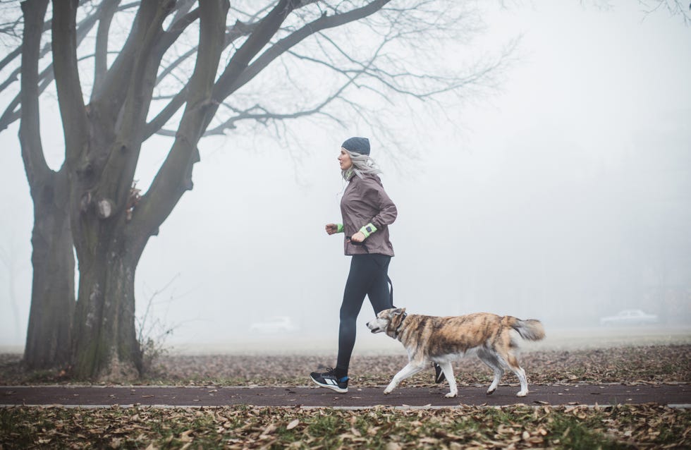 spieghiamo come deve comportarsi un runner davanti a un cane