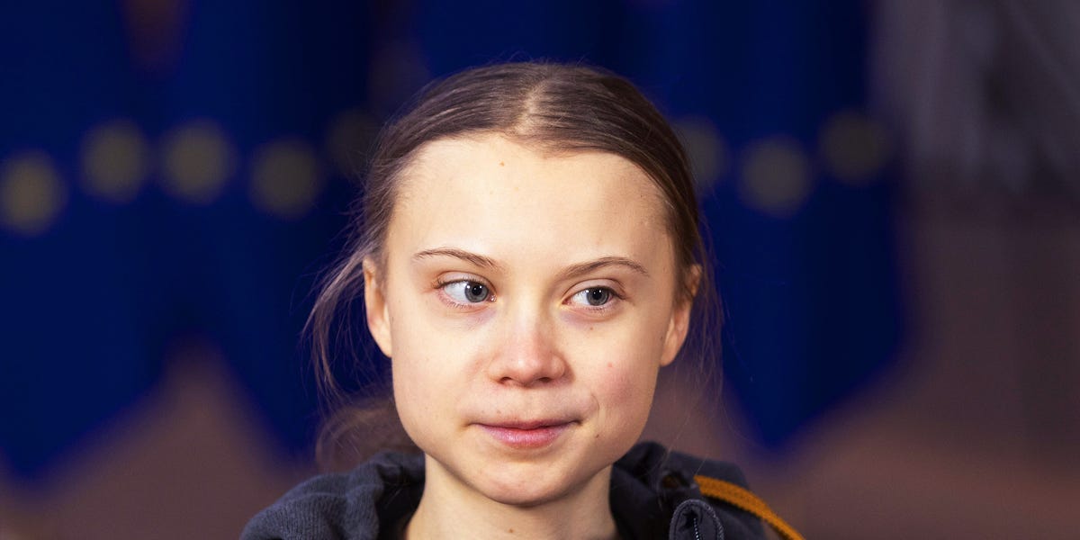 Скандальная активистка снова сядет за школьную парту