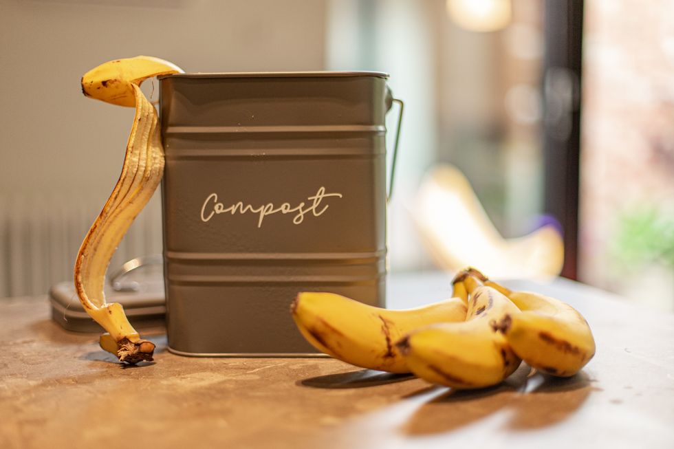 compost bin sitting on a kitchen bench with banana peels