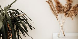 pampas grass and indoor decor concept