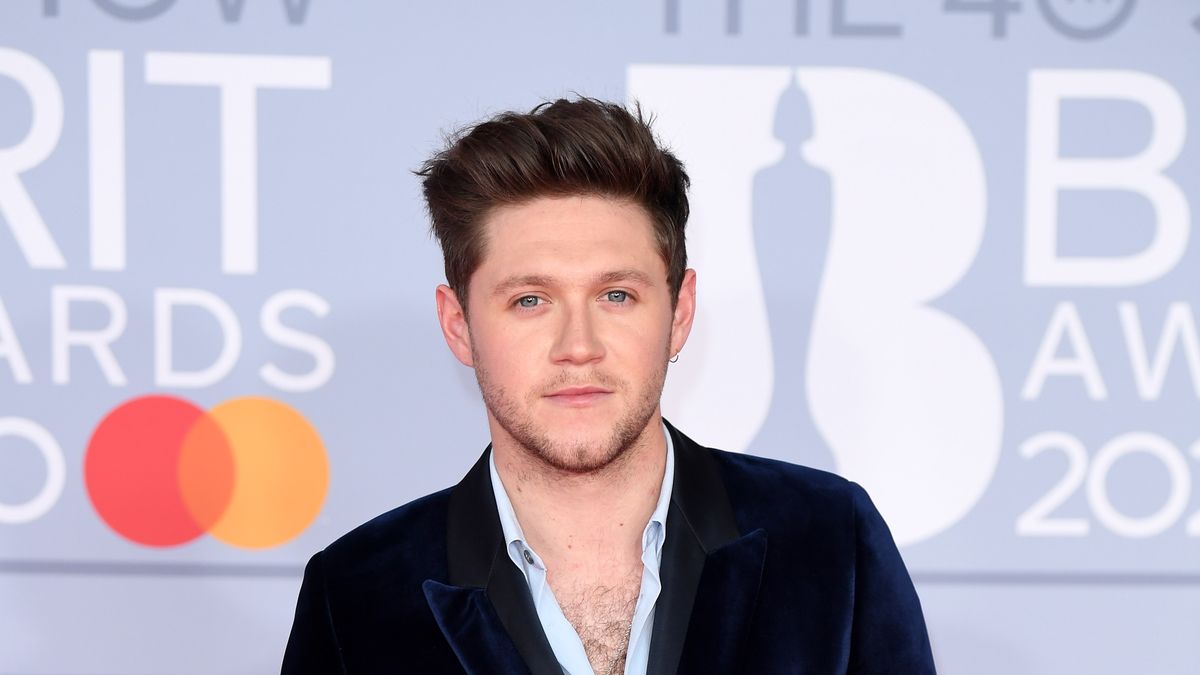 Niall Horan just got real about the reality of being in One Direction