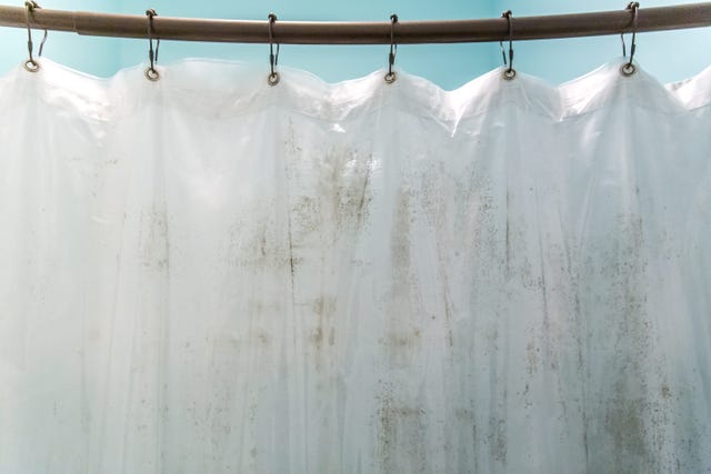 dark brown mildew mold on plastic interior shower curtain in a light aqua bathroom inside the bathtub and shower area