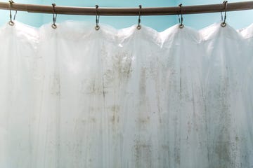 dark brown mildew mold on plastic interior shower curtain in a light aqua bathroom inside the bathtub and shower area