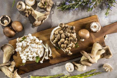 still life of natural mushrooms and variety of edible mushrooms